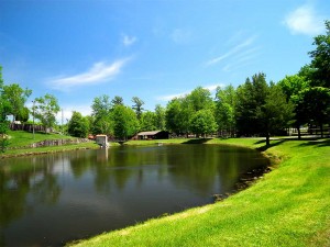 Fishing Pond