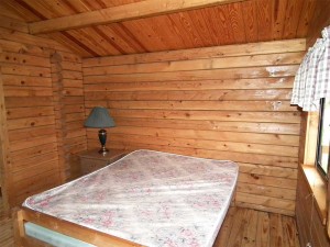 Rustic Cabin 3
